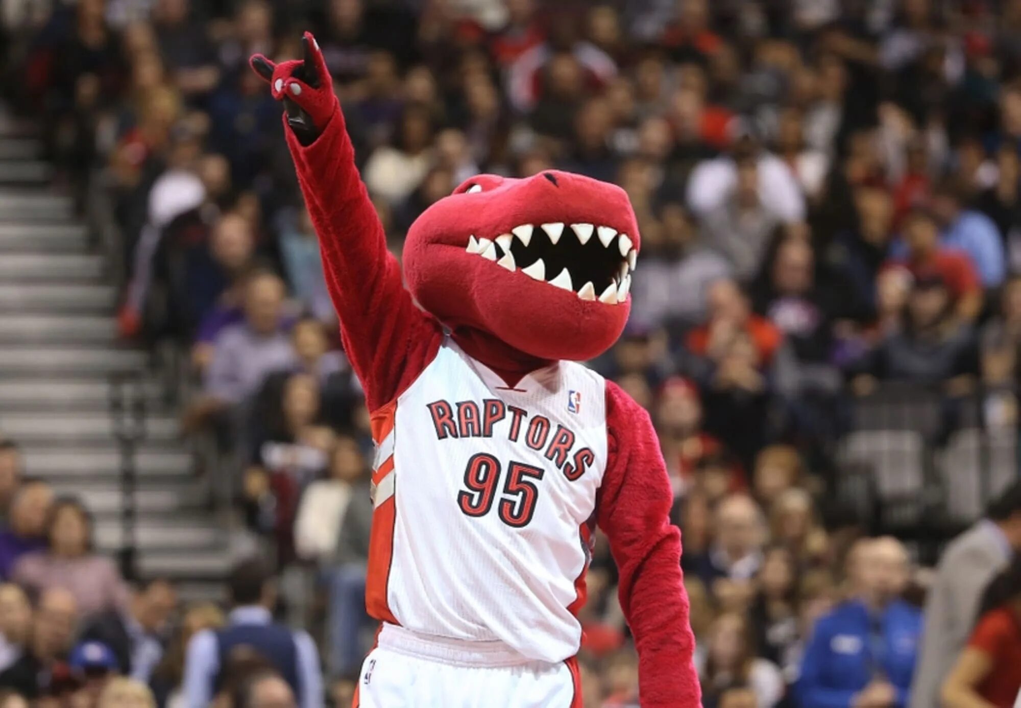 Toronto raptors. Торонто Рэпторс талисман. Raptors NBA. Команда Toronto Raptors. Toronto Raptors Mascot.