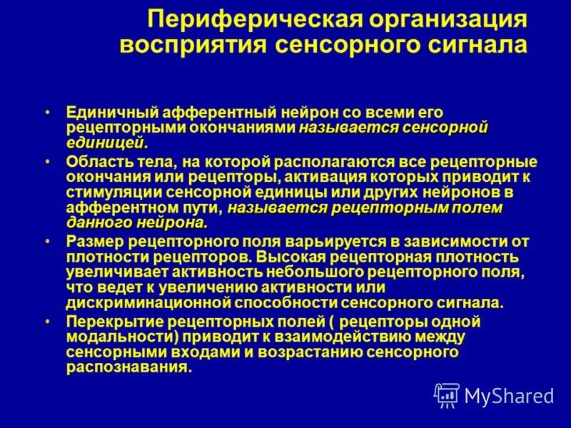 Как называется эффект возрастающей сенсорной стимуляции. Как называется эффект возрастающей сенсорной стимуляции. Мозг электромагнитные волны. Как называется эффект возрастающей сенсорной стимуляции. Как называется эффект возрастающей сенсорной стимуляции.