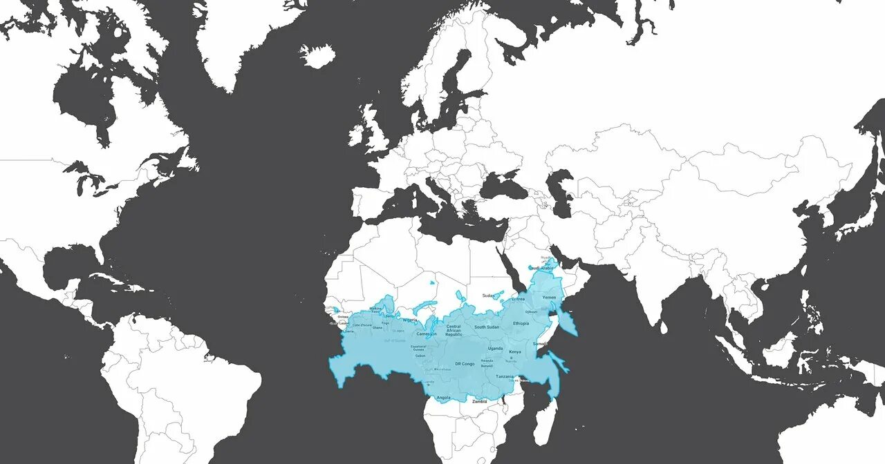 Территория африки и россии. Территории стран. Карта с территориями стран. Сравнительные Размеры стран.