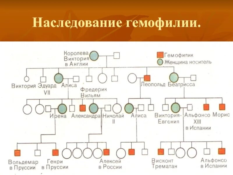 Тип наследования при гемофилии. Гемофилия генетика Тип наследования. Гемофилия б Тип наследования. Гемофилия Тип наследования схема.