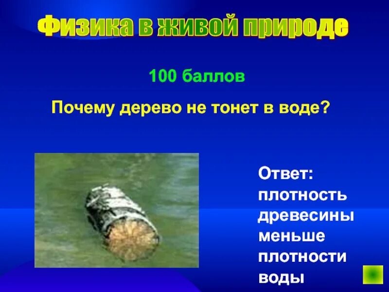 Почему вода не тонет. Дерево не тонет в воде. почему дерево не тонет. почему дерево не тонет в воде. почему тонет дерево.