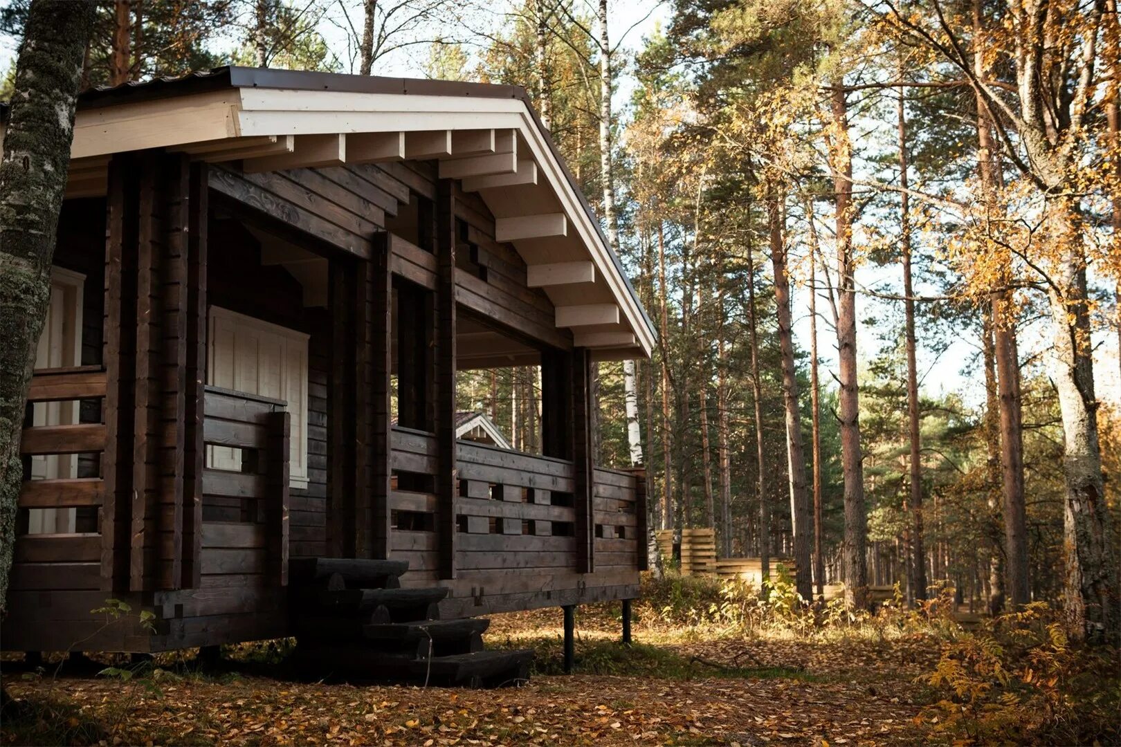 база отдыха в ленинградской области золотой берег. финский залив сосновый бор коттедж. коттедж на берегу ленинградская область. тапиола выборг. база тихий берег в ленинградской области,.