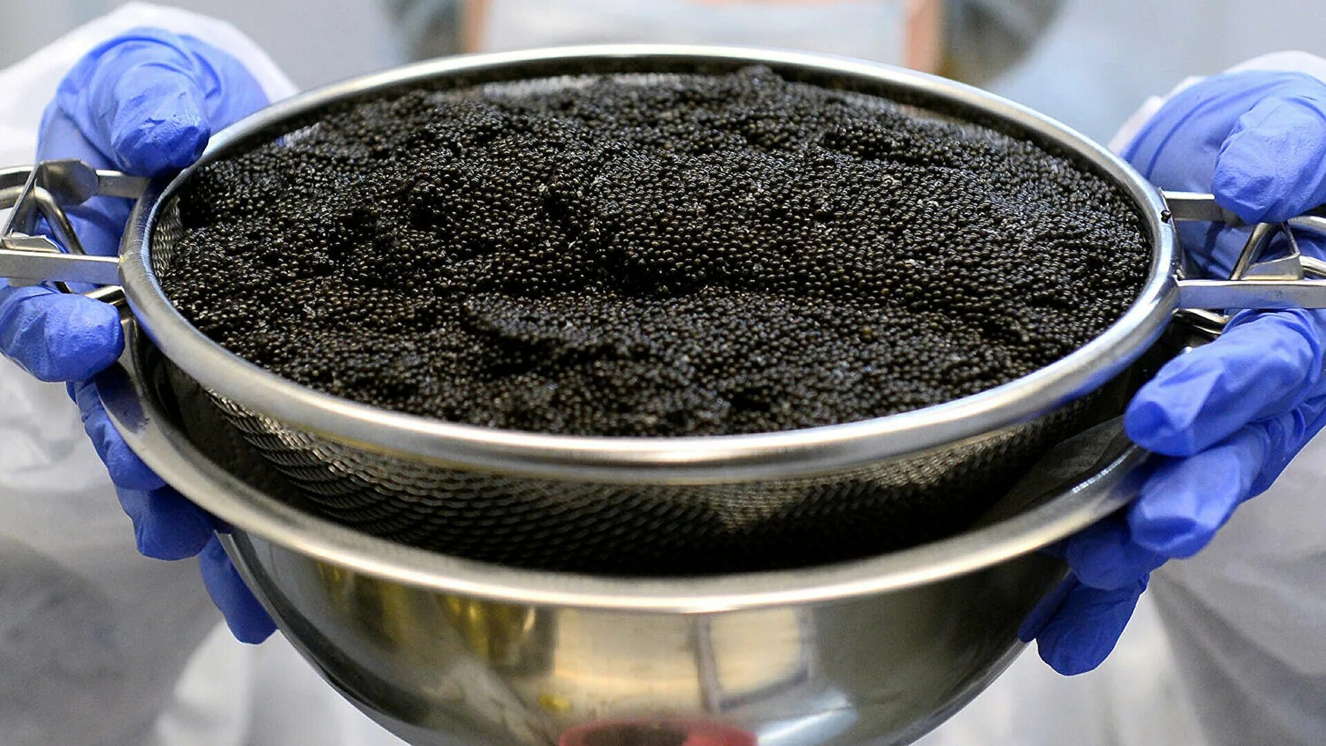 Икра осетровая "кармановская". Грохоты для черной икры. Жировая черная икра. Икра осетра. Как посолить черную икру.