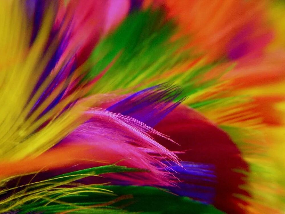 Яркий фон. Яркость фона. Яркий фон. Радуга фон. Яркие краски.