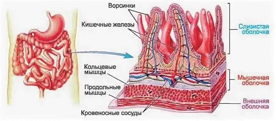 22 строение