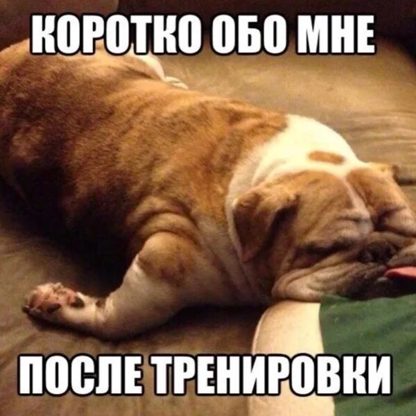 На следующий день после