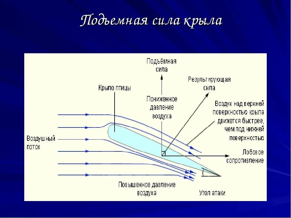 Сила крыла