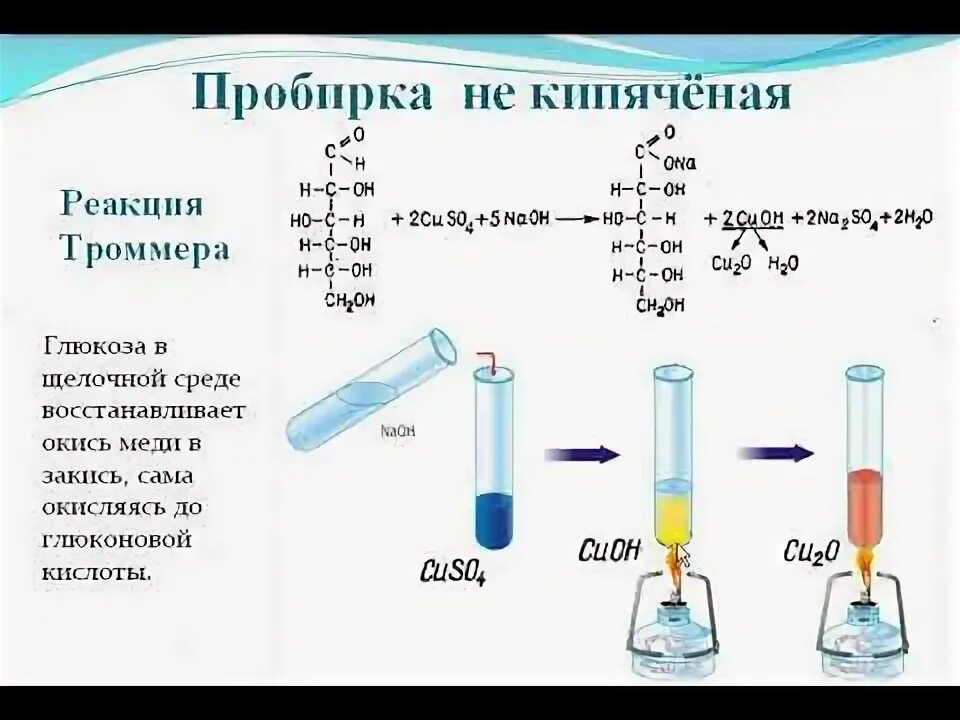 Обнаружение углеводов с помощью качественной реакции лабораторная. Реакция троммера с лактозой. лабораторная работа специфичность действия амилазы. специфичность амилазы слюны. проба троммера на глюкозу реакция.