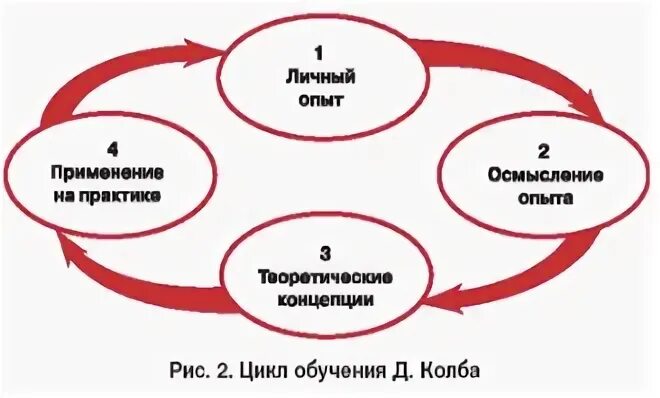 Модель Дэвида колба. Цикл колба. Обучающий цикл колба. Этапы цикла д. колба. Цикл тренинга