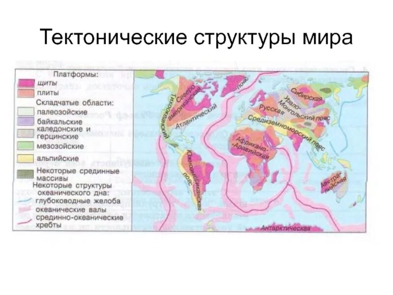 Тектоническая структура Байкальской складчатости. Тектонические структуры кайнозойской складчатости. В пределах древней платформы лежат