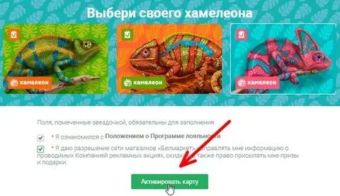 Программа хамелеон
