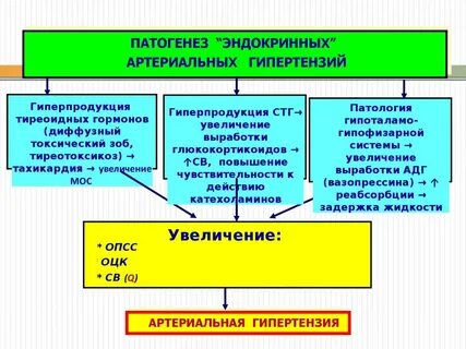 Эндокринные гипертензии