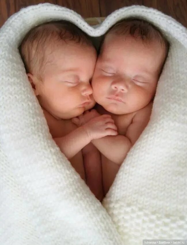 Младенцы двойняшки. Новорожденные дети Близнецы. Фотосессия с двойней. Близнецы мальчики.