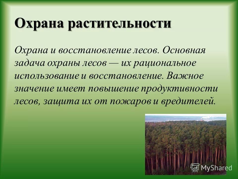 современное состояние и охрана растительности. меры по охране растительности. продуктивность смешанного леса. повышение продуктивности леса. воспроизводство и повышение продуктивности лесов.