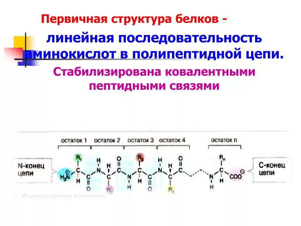 Химическая связь первичной структуры