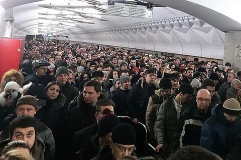 Серая ветка что случилось
