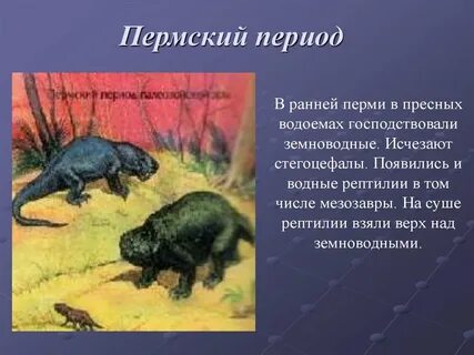 В какой эре господствовали пресмыкающиеся