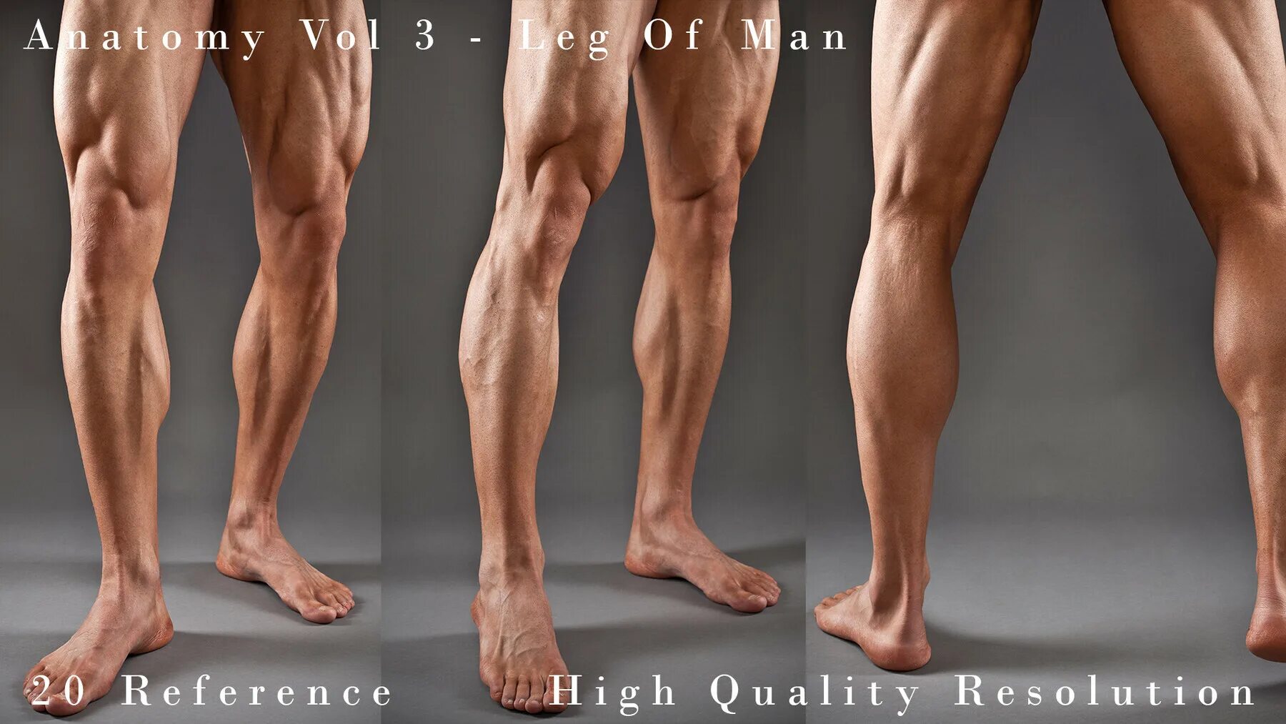 Мужские ноги. Мужские ноги анатомия. Ноги мужские Реферем. Мужские ноги референс.