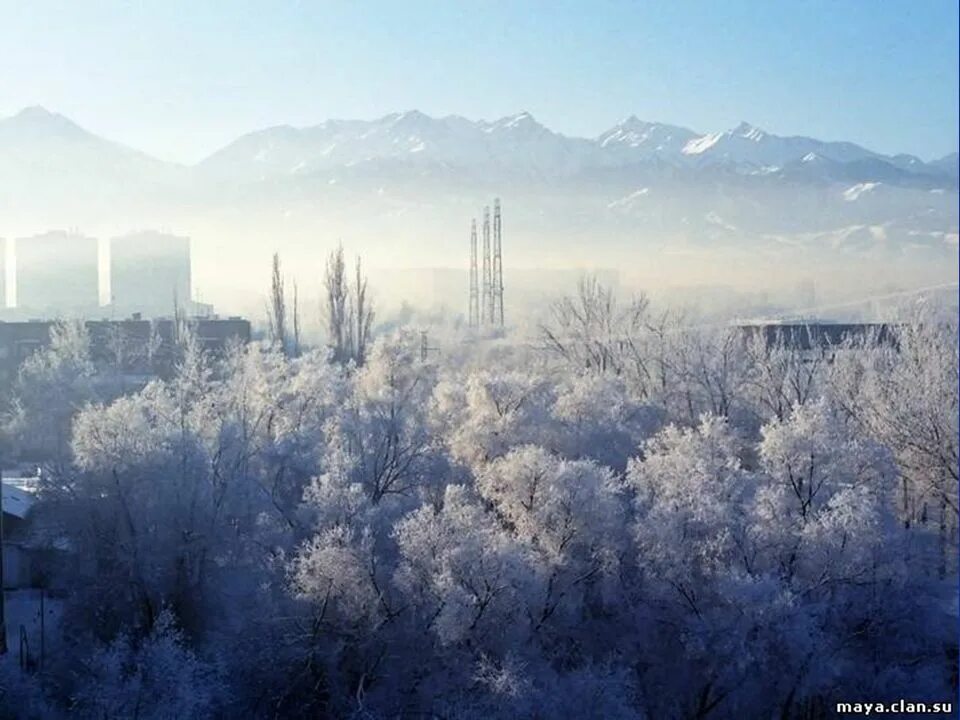 Погода алматинская область 10 дней. Алма Ата климат. Алматы Казахстан климат. Алматы зимой. Алма Ата зимой.
