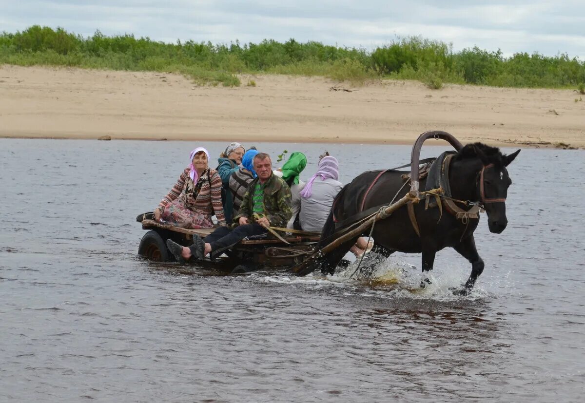 Лошадь переправа