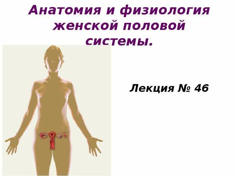 Физиология женщины. Физиология женского организма. Физиология женского пола. Анатомия и физиология женщины.