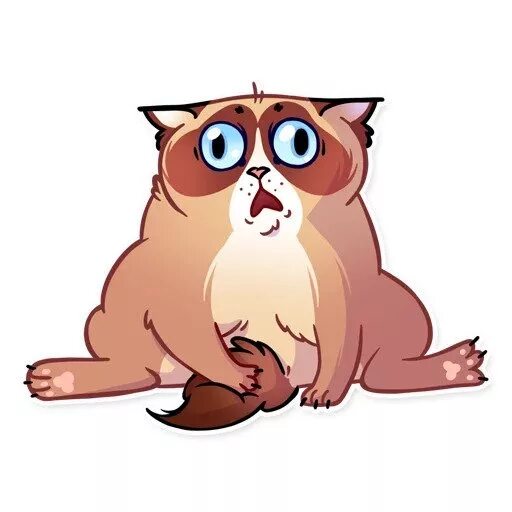 Стикеры котики из телеграмма. Смешные котики телеграмм. Стикеры телеграм кот. Прикольные коты для телеграмма. Для котиков телеграмм.