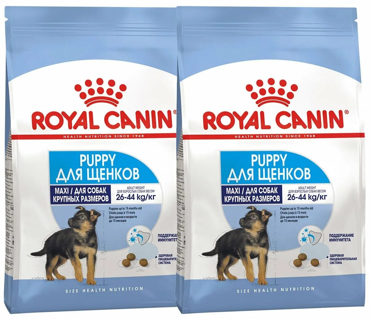 Роял канин макси паппи. Royal Canin Maxi Puppy. Роял Канин для собак макси Паппи. Royal Canin professional Maxi Puppy.