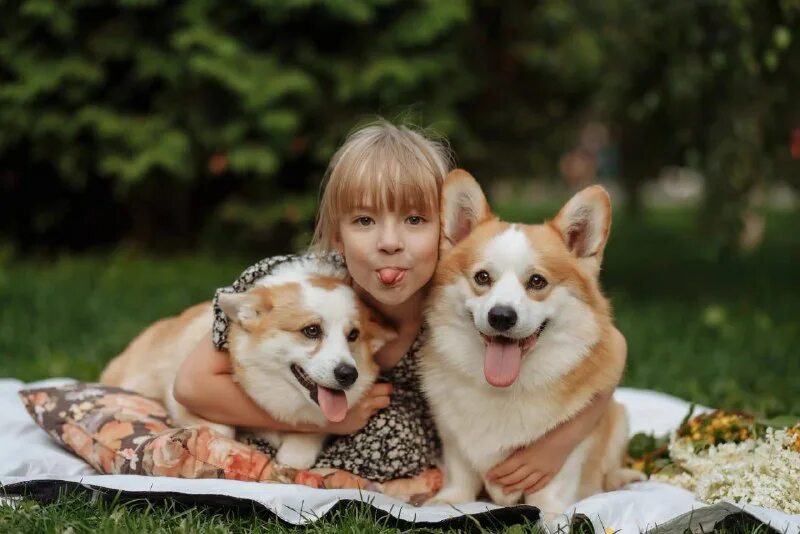 маруся леонидовна щелково корги. фотосессия с корги. лайф спринг питомник вельш корги пемброк. корги луна. фотосессия с корги.