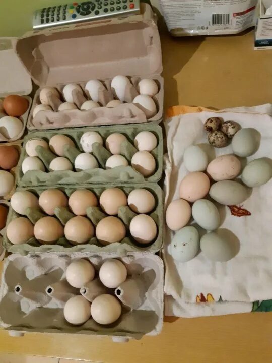 Утиное яйцо импортное коробка. Форма утиного яйца. Пакет яиц домашних. Деревенское яйцо майн.