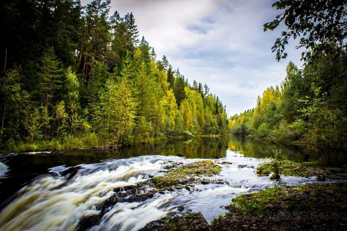 Заповедник и водопад Кивач. Карелия природа Кивач. Водопад Кивач в Карелии. Природный заповедник Кивач. Природа республики карелия