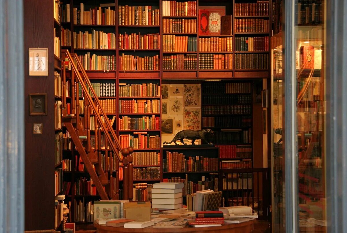 I to the library tomorrow