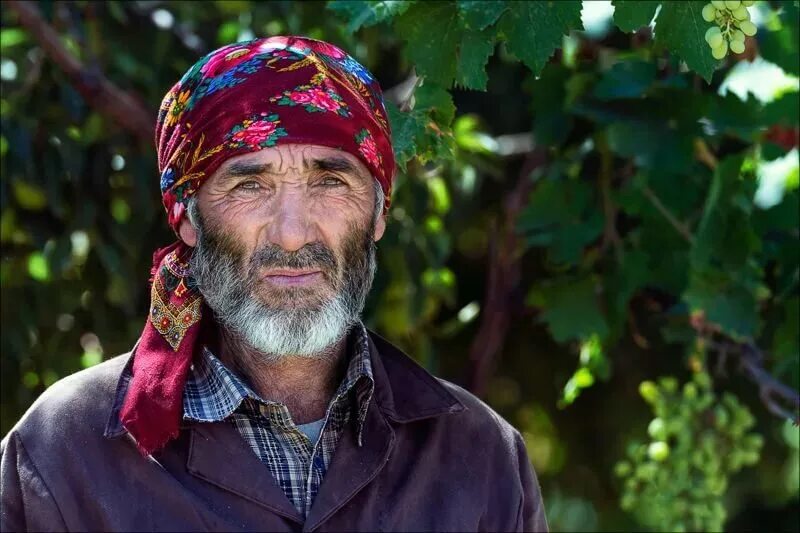 памирцы калаши. горные таджики гальча. таджикистан памирцы народ. памирцы таджикские нация. кто такой памирец.