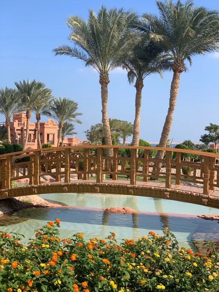 Charmillion sea life resort ex. Гардения плаза резорт шарм-эль-шейх. Шармилион сиа лайф шарм эль шейх. Charmillion sea life resort 5 египет шарм-эль-шейх. Сиа лайф египет шарм-эль-шейх.