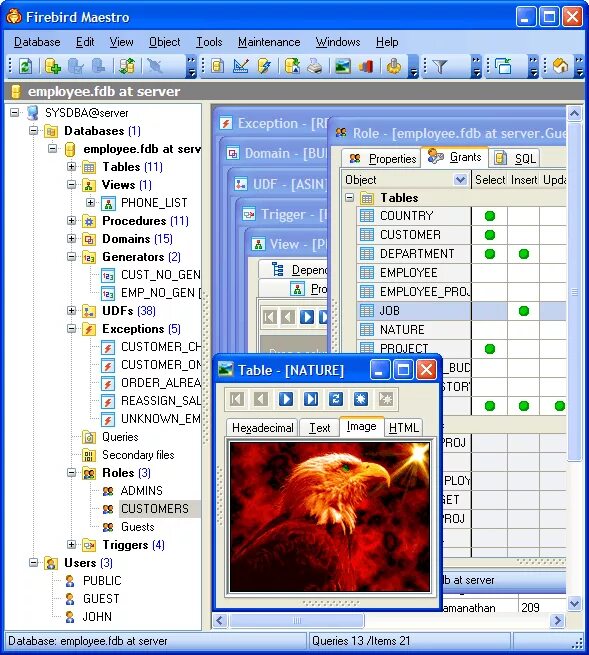 Бд firebird. Firebird интерфейс. firebird база данных. firebird программа. firebird maestro.