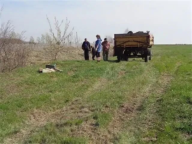 Таловка абрамов грушевка