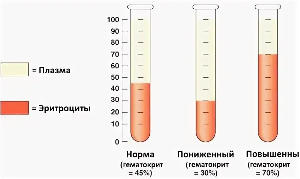 Повышенные эритроциты и гематокрит у женщин. Гематокрит 43.6. гематокрит 41.4. гематокрит измеряется в лл. нормальные показатели гематокрита у мужчин?.