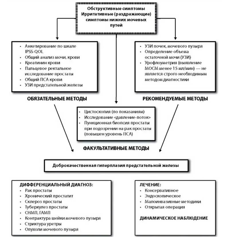 Признаки нижнего мужчины. Опросник оценки симптомов нижних мочевых путей. Дифференциальный диагноз аденомы простаты. Обструктивные и ирритативные симптомы. Схема диагностики аденомы.