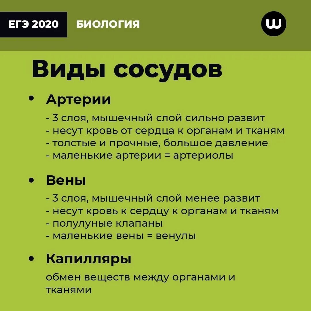 Шпоры ЕГЭ биология. Шпоры по биологии ЕГЭ. Биология. Шпаргалка. Биология 6 класс шпаргалки. Шпоры по биологии огэ