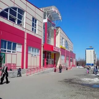 Дельфин чайковский