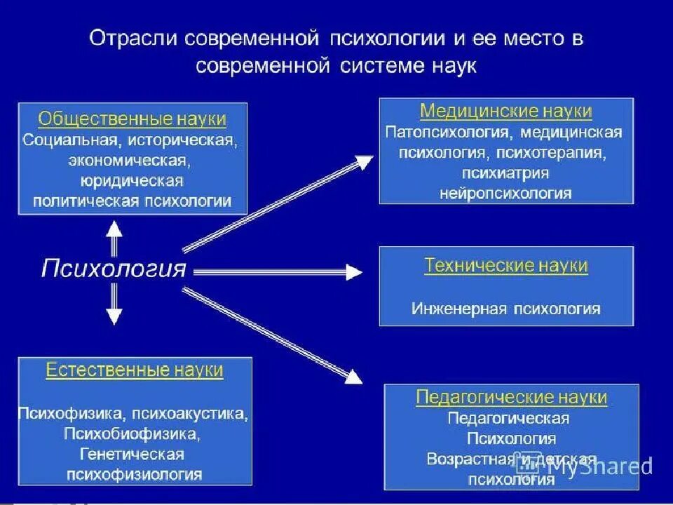 Место психологии в системе наук. Структура современной психологии. Структура современной психологической науки. Место психологии в системе наук психология.