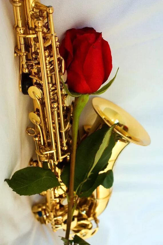Саксофон поздравления. Саксофон. Цветы для музыканта. Красивый саксофон. Музыкальные инструменты и цветы.