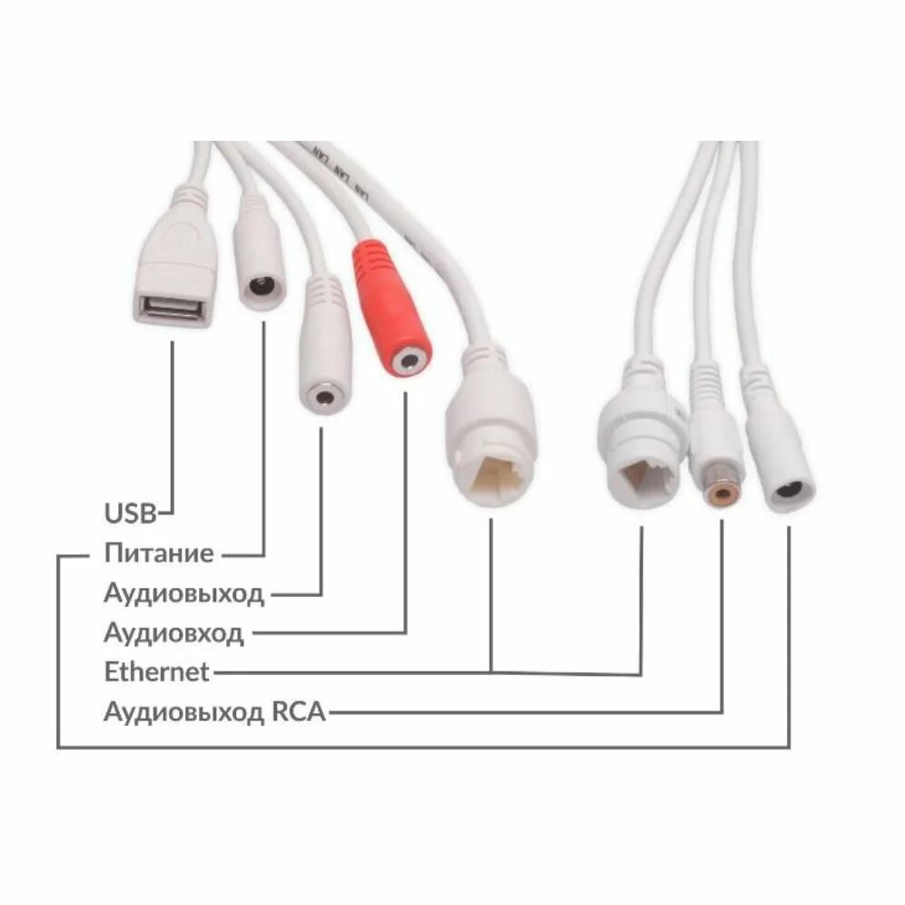 Видеокамера PVC-ip2m. Polyvision PVC ip2fsz25p. PVC-ip2x-z5mpai. IP камера ez-IP C-c1b40p-w.