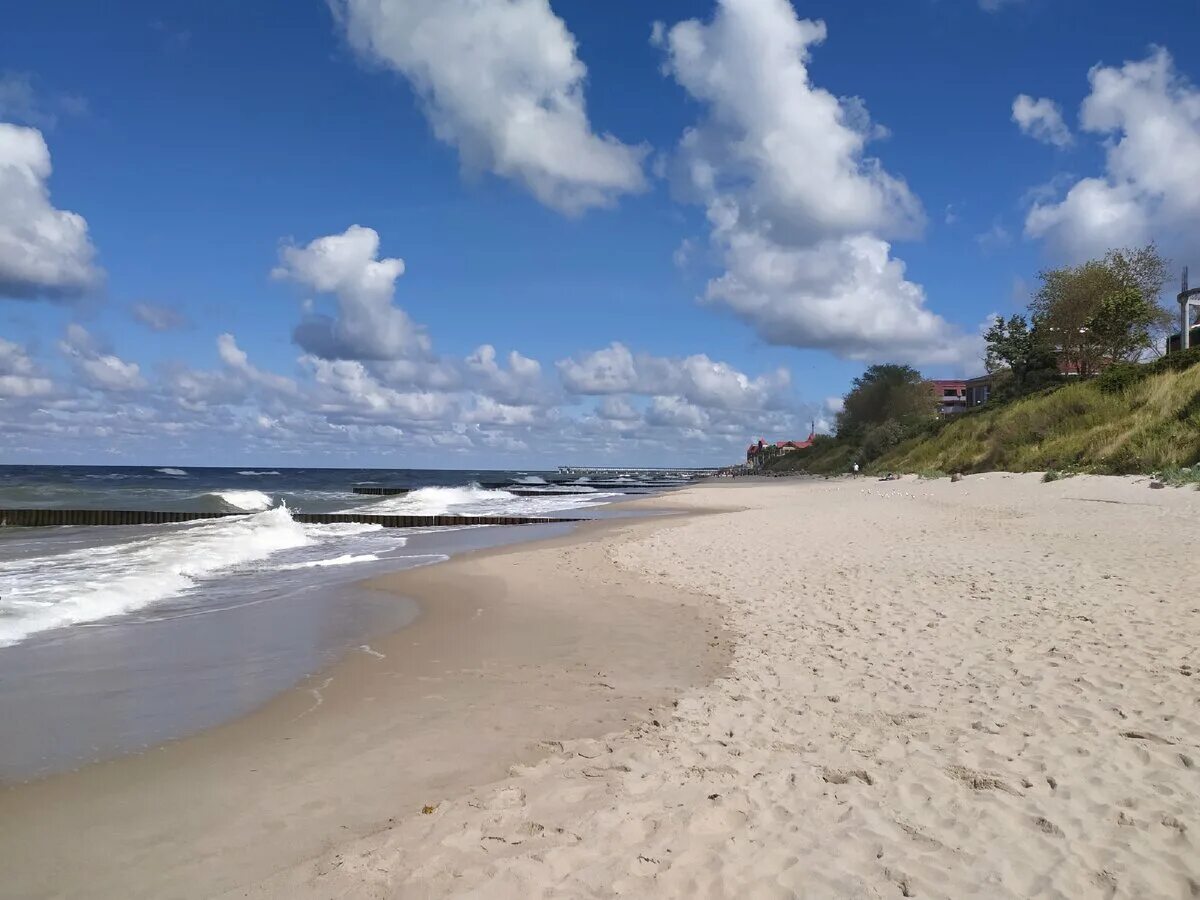 Море в зеленоградске сейчас. Балтийское море пляж Зеленоградск. Пляж Зеленоградска Калининградской области. Берег Балтийского моря Зеленоградск. Западный пляж Зеленоградск.