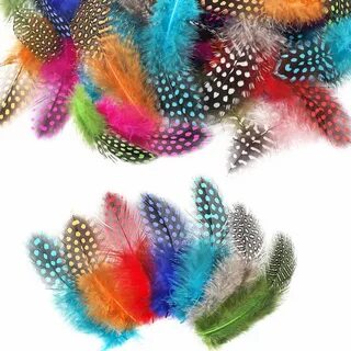 Colourful feathers