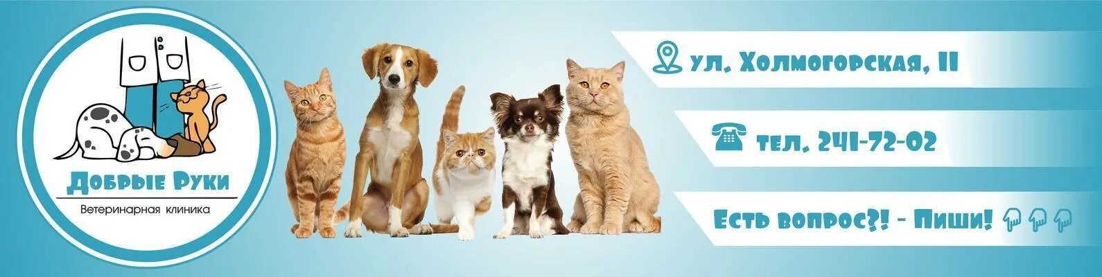 Ветклиника удомля. Ветклиника удомля. Ветклиника удомля. Ветеринарные учреждения. Ветклиника удомля.