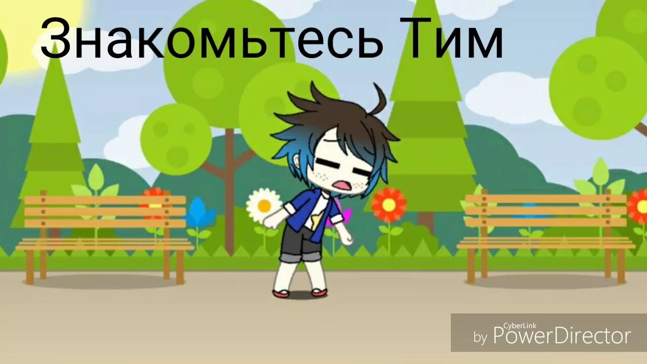 Включи тим тих. Тим 1. Чвака тим 1. Скин Тима 1. Тим-1-11.