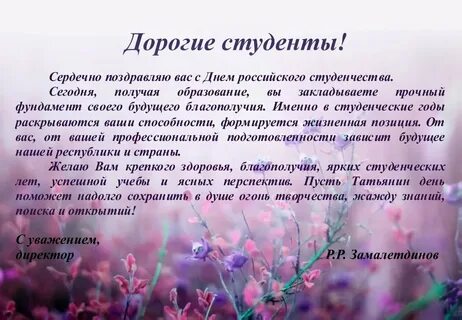 Новизна изменчивый тюленевый