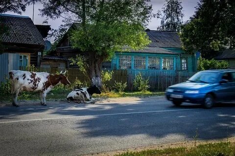 Сельская сеть