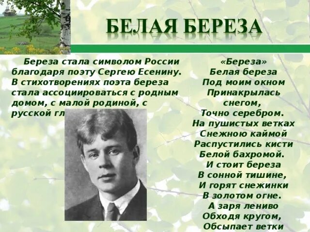 Проект мое отношение к родине