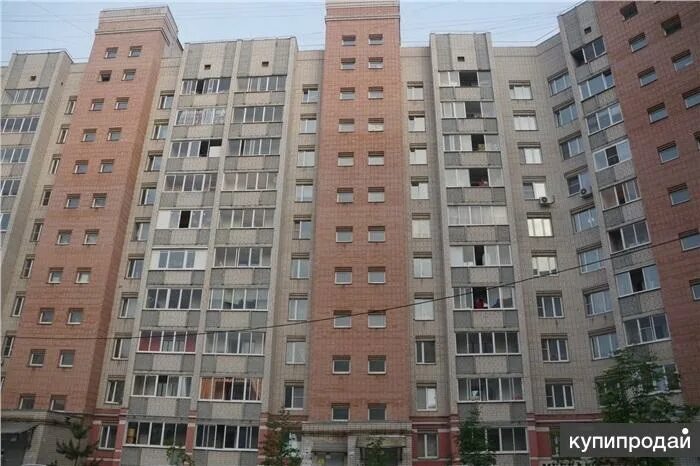 Пр фрунзе 35 ярославль. Фрунзе 35 ярославль. Фрунзе 35/17 ярославль. Фрунзе 35 ярославль. Проспект фрунзе 35/17 ярославль.
